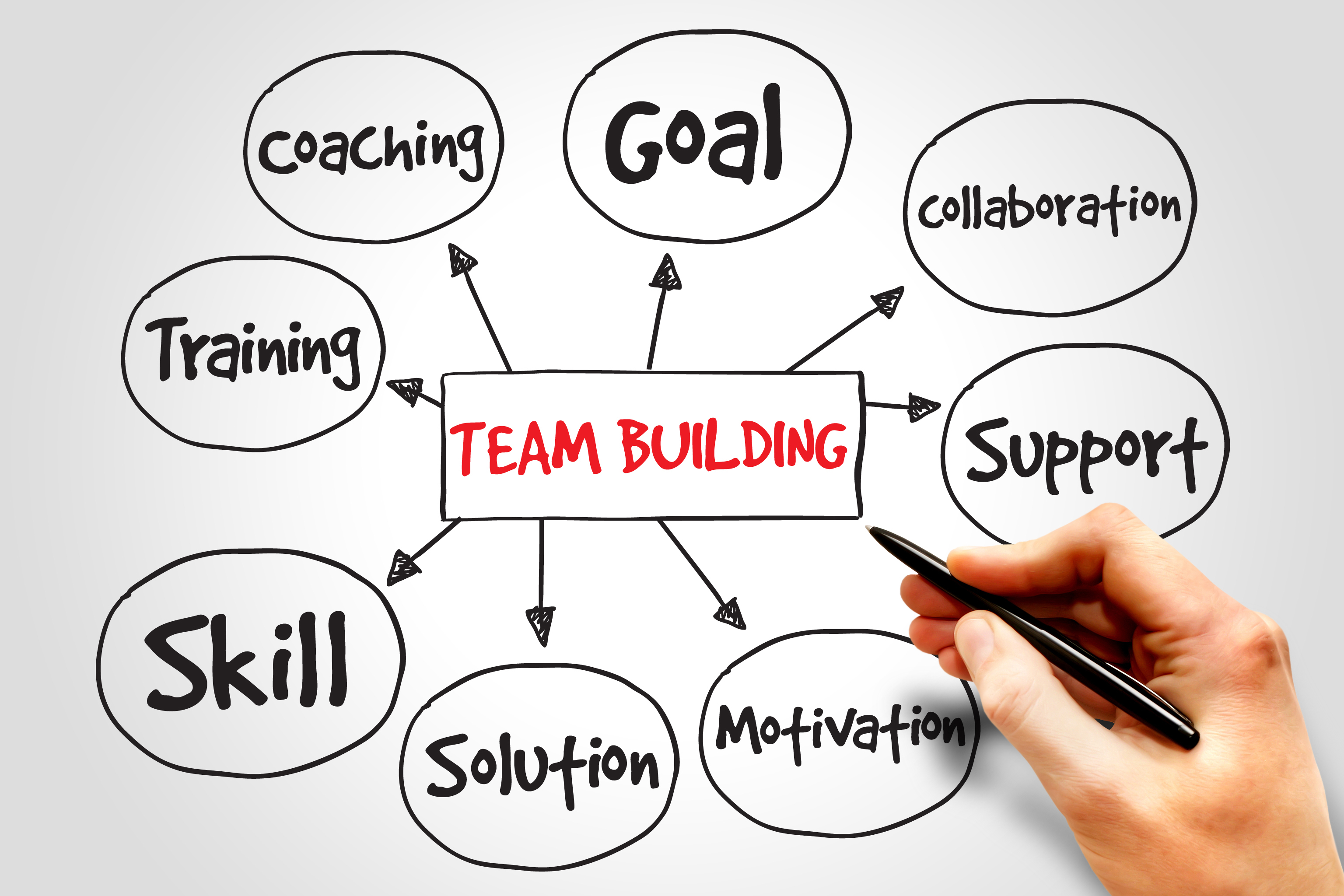 Reasons Why Team Building Enriches Wellbeing Rosanna Davison Nutrition